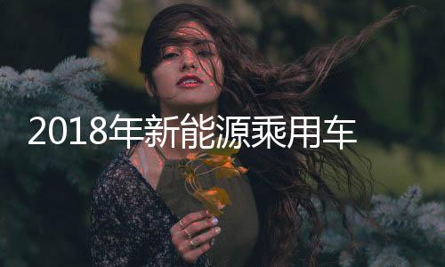 2018年新能源乘用车动力电池PACK市场分析